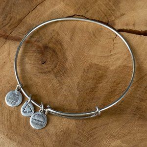 ALEX & ANI Charm Bangle, Energy Bracelet, Rafaelian Silver Nickel-Free